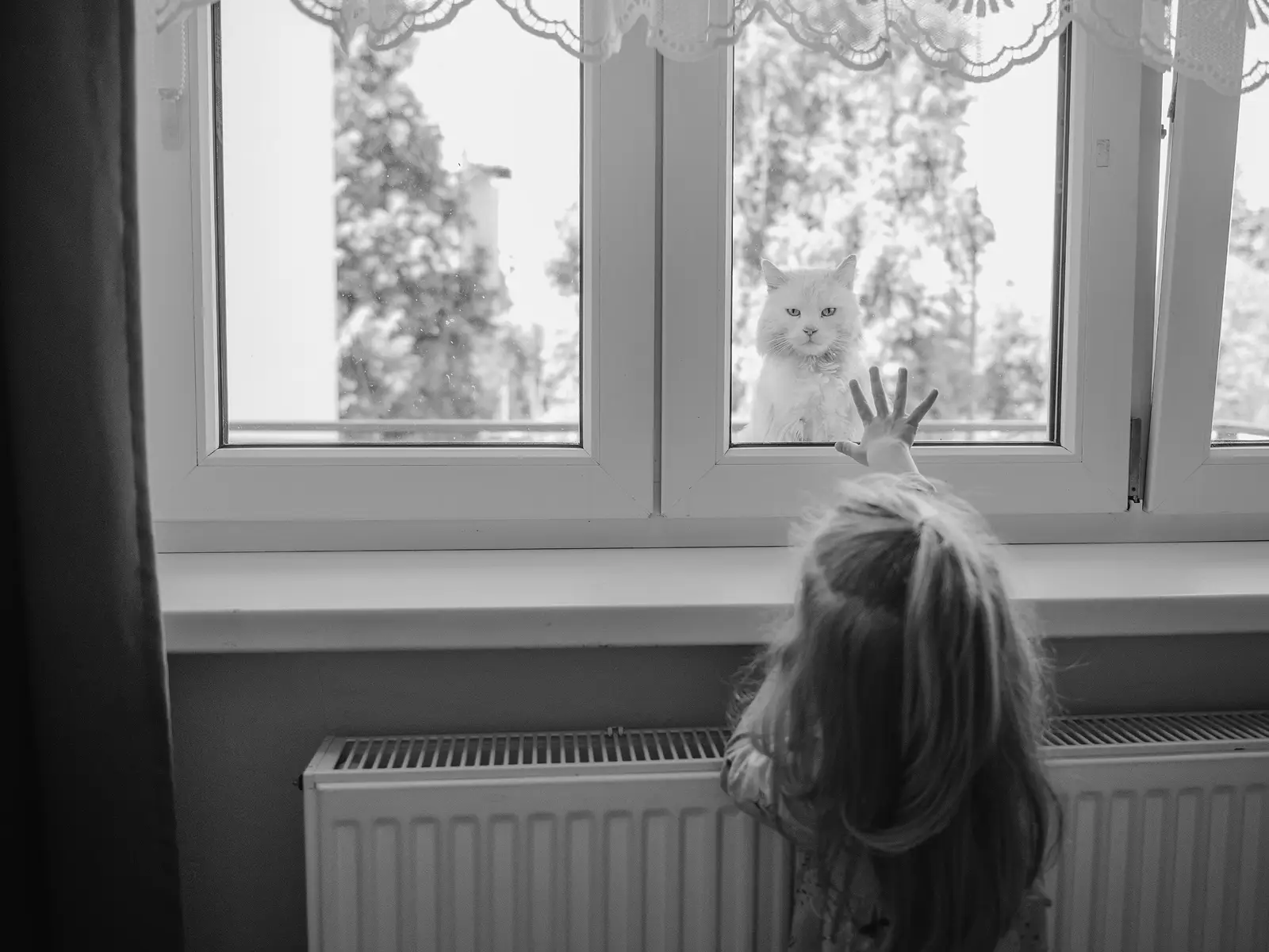 U vás doma 20 (fotografie)